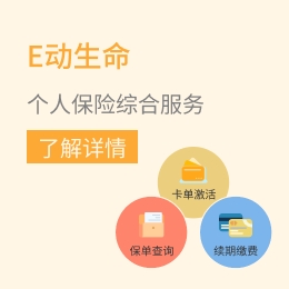 E动生命-个人保险综合服务